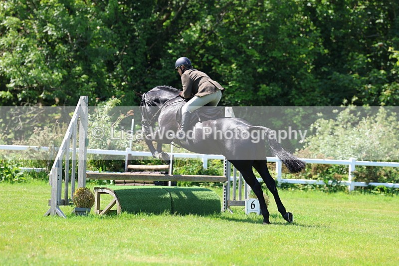 3E7A7005 - Class 30: Novice Working Hunter