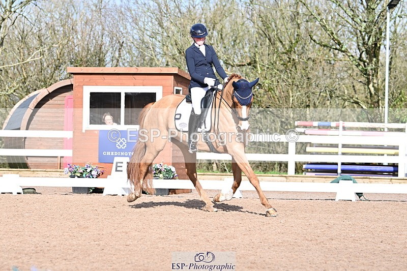 240218A-114537-06844 - 272-Beth.Bainbridge-Newton.Dreamcatcher