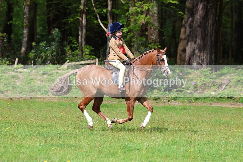 3E7A2706 - Working Hunter Championship