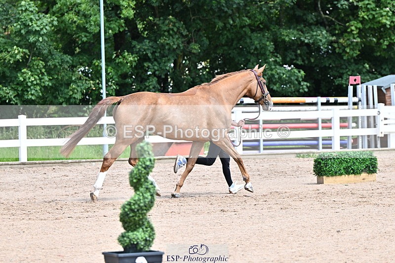 240718A-105248-01172 - Trot Up 12pm to 1pm