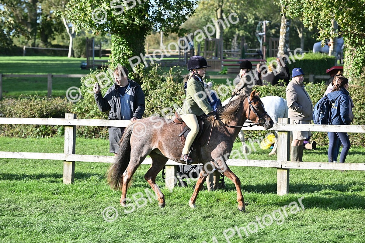SBM_52992 - S23 - First Ridden Mountain & Moorland Pony