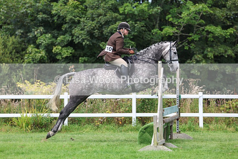 3E7A8857 - Class 6: Open Working Horse