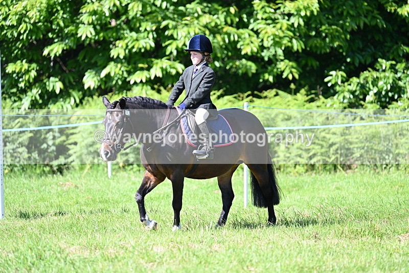 WJ7_0349 - Class 8 First Rally Pony