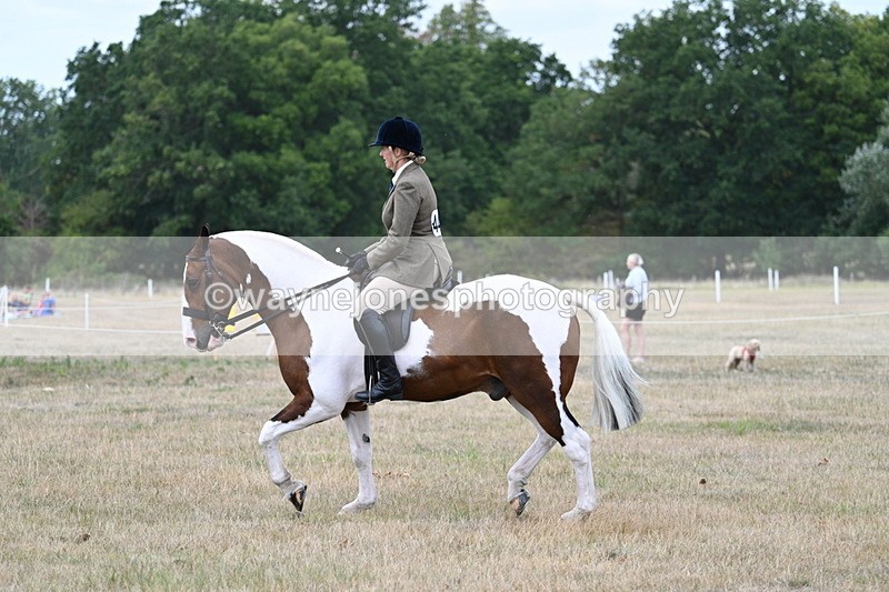 WJ7_4969 - Class 12 Ridden Cob