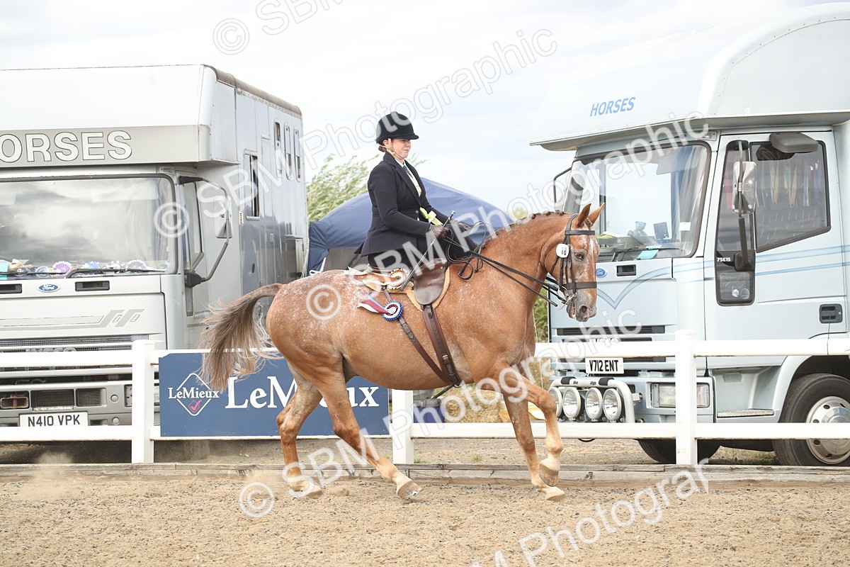 SBM_17799 - Class 508a - Working Veteran 70cm (15-19)