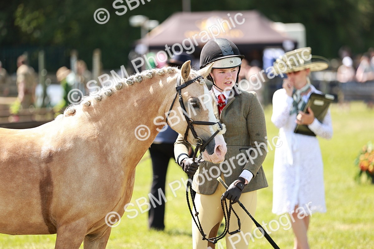 SBM_15702 - Class 108-109 - BSPS LIHS Open Gradle & Nursery Stakes