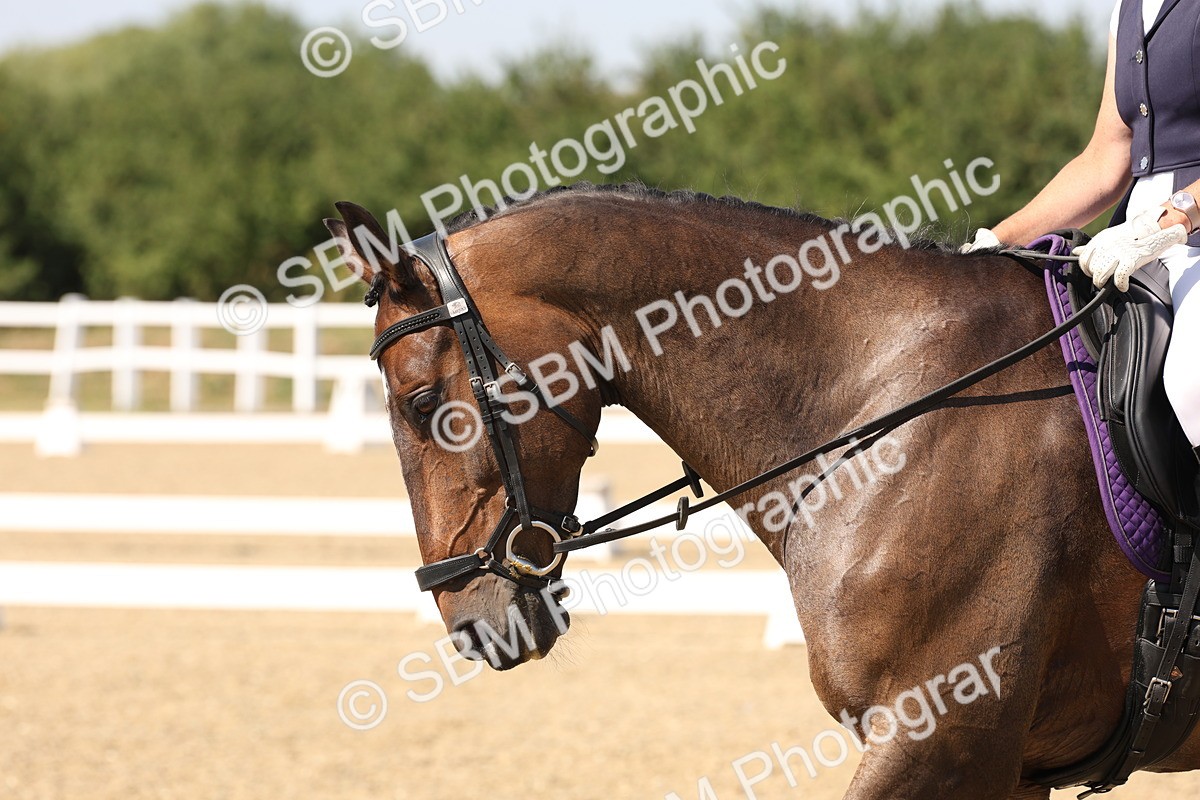 SBM_005788 - Prelim 4 - 13.34-15.39