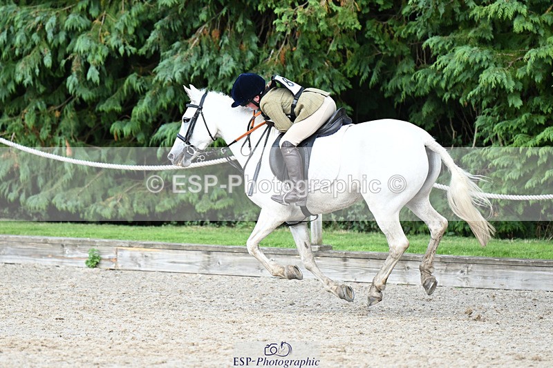 240824X-162832-30032 - 80cm Round 2 15.30 to 16.50