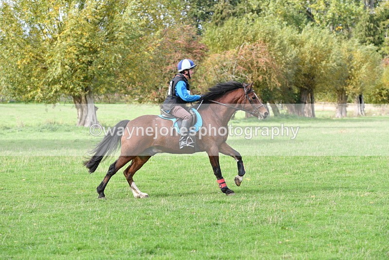 WJ5_0365 - Time 13:59 to 14:28