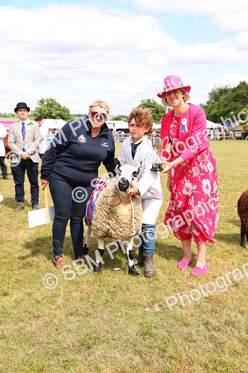 SBM_16990 - Grand Parade