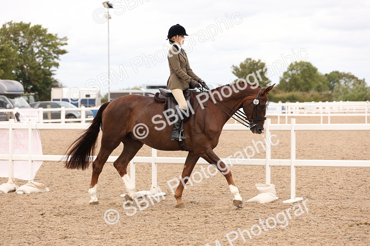 SBM_17184 - Class 213 - Ridden Hunter - Large