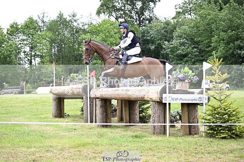 250524A-160755-14489 - C-258-Bill.Levett-ITALIAN.HARLEQUIN.NJ