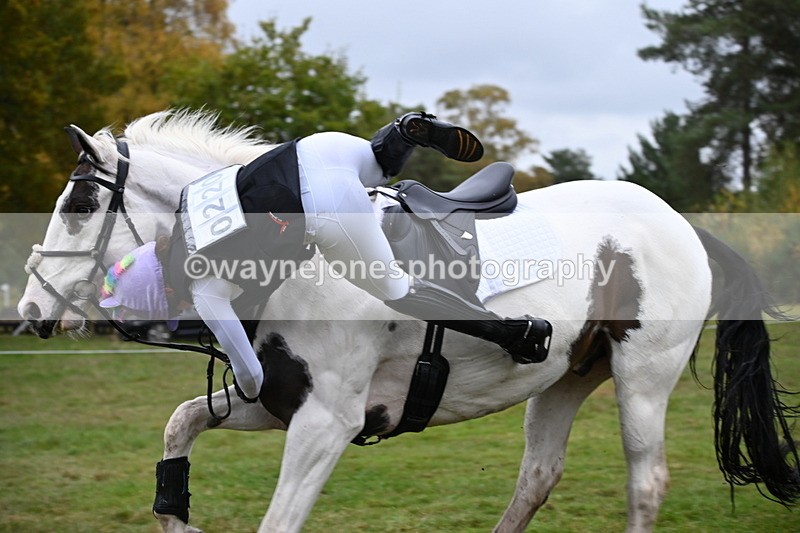 WJ6_3521 - 90cm Cam 1 Time 13:07 to 13:34