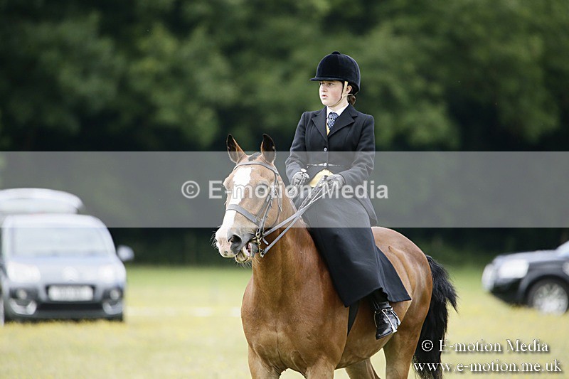 BVR160717-1577 - Side Saddle Classes 16/07/17