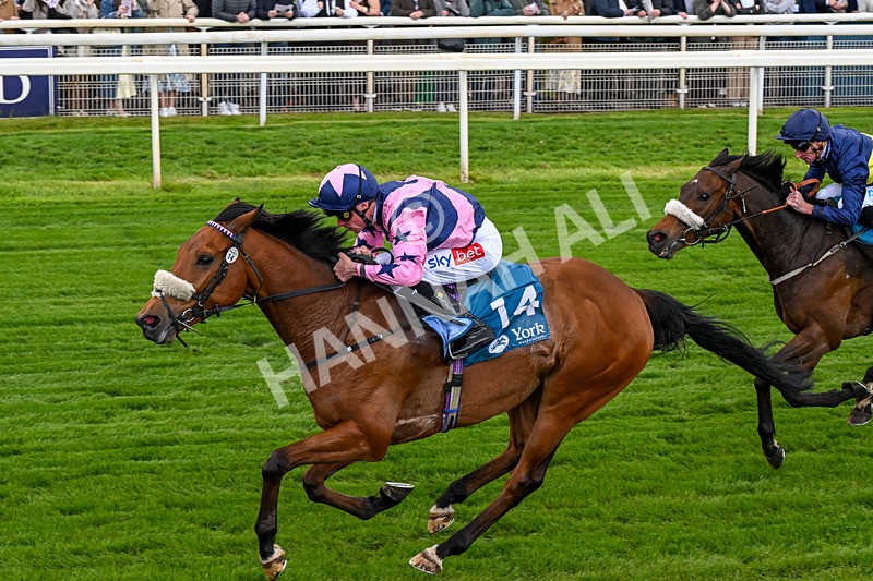 150526-Race 1-Zarathos-0067 - Race 1 1.45pm Yorkshire Equine Practice Handicap