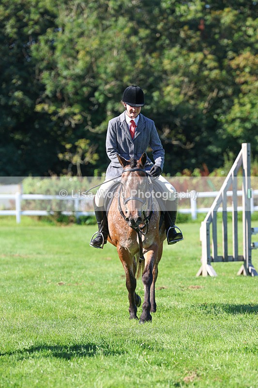 3E7A7810 - Class 2: Open Working Hunter pony