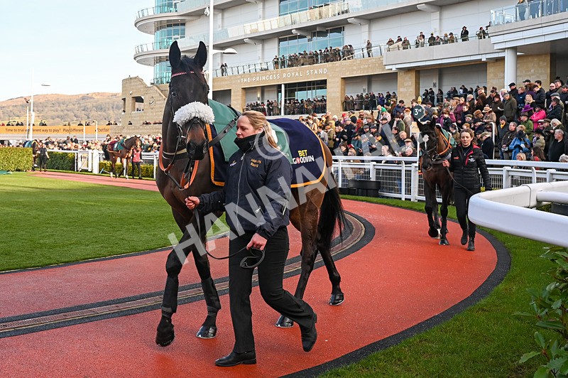 250125-Race 3-Grandeur dAme-3170 - Race 3