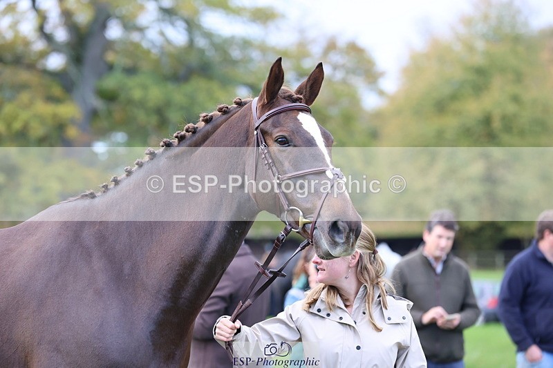 251026A-103534-23124 - F-433-Kathryn.Board