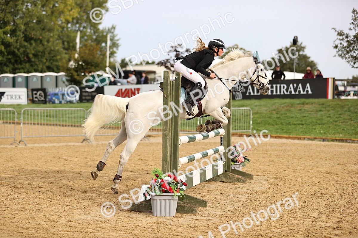 SBM_58182 - J41 - Grand Tour Horse & Pony 95cm