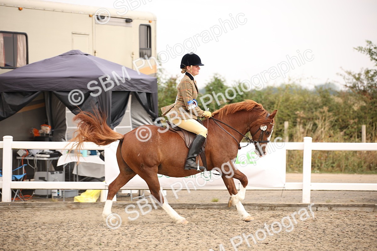 SBM_12291 - Class 405a - M&M Working Veteran 50cm (15-19)