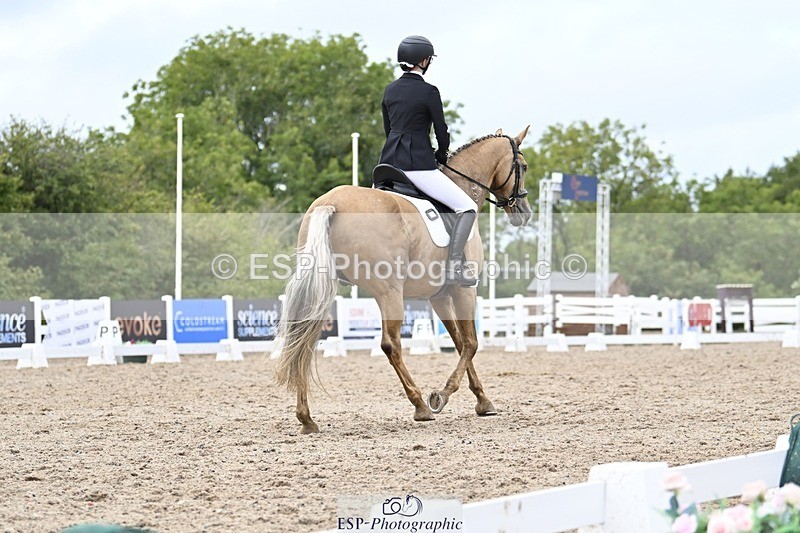 250907-170350-10881 - 054-Amy.Louise.LloydDiva.Royale