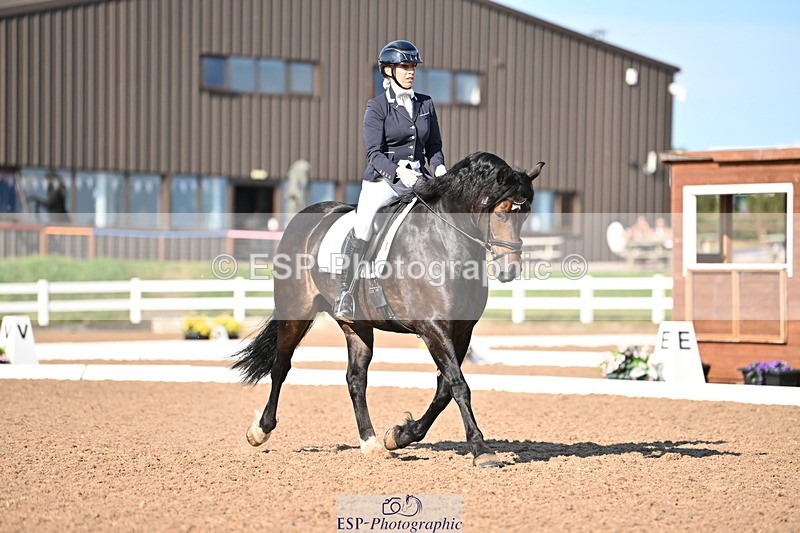 240816A-170342-06340 - 255-Victoria.Hunton-Maesmynach.Annwyl