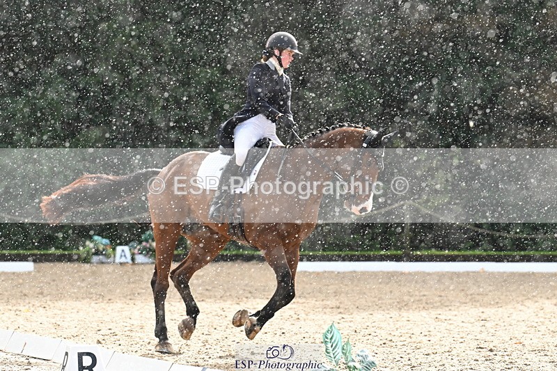 251023A-144544-05589 - B-156-Eres.Parry