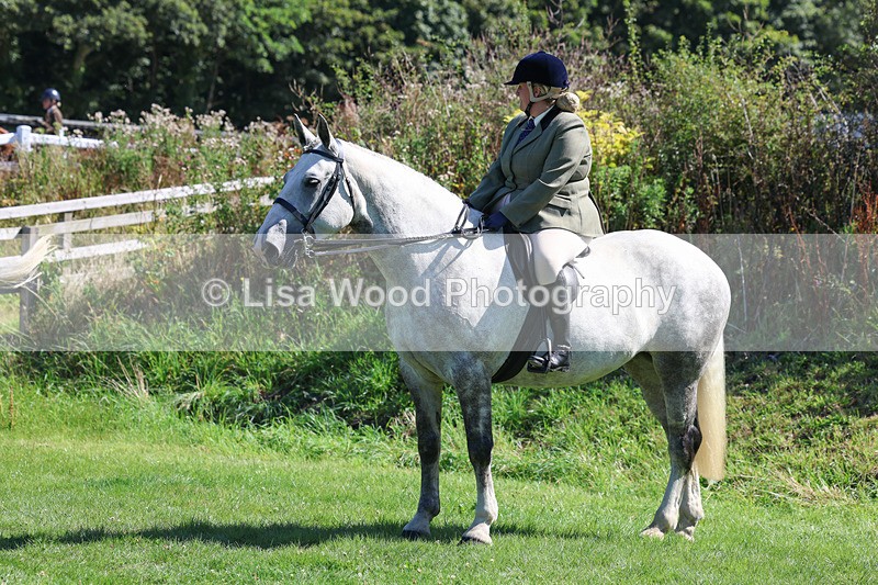 3E7A8435 - Class 4: Novice working Hunter