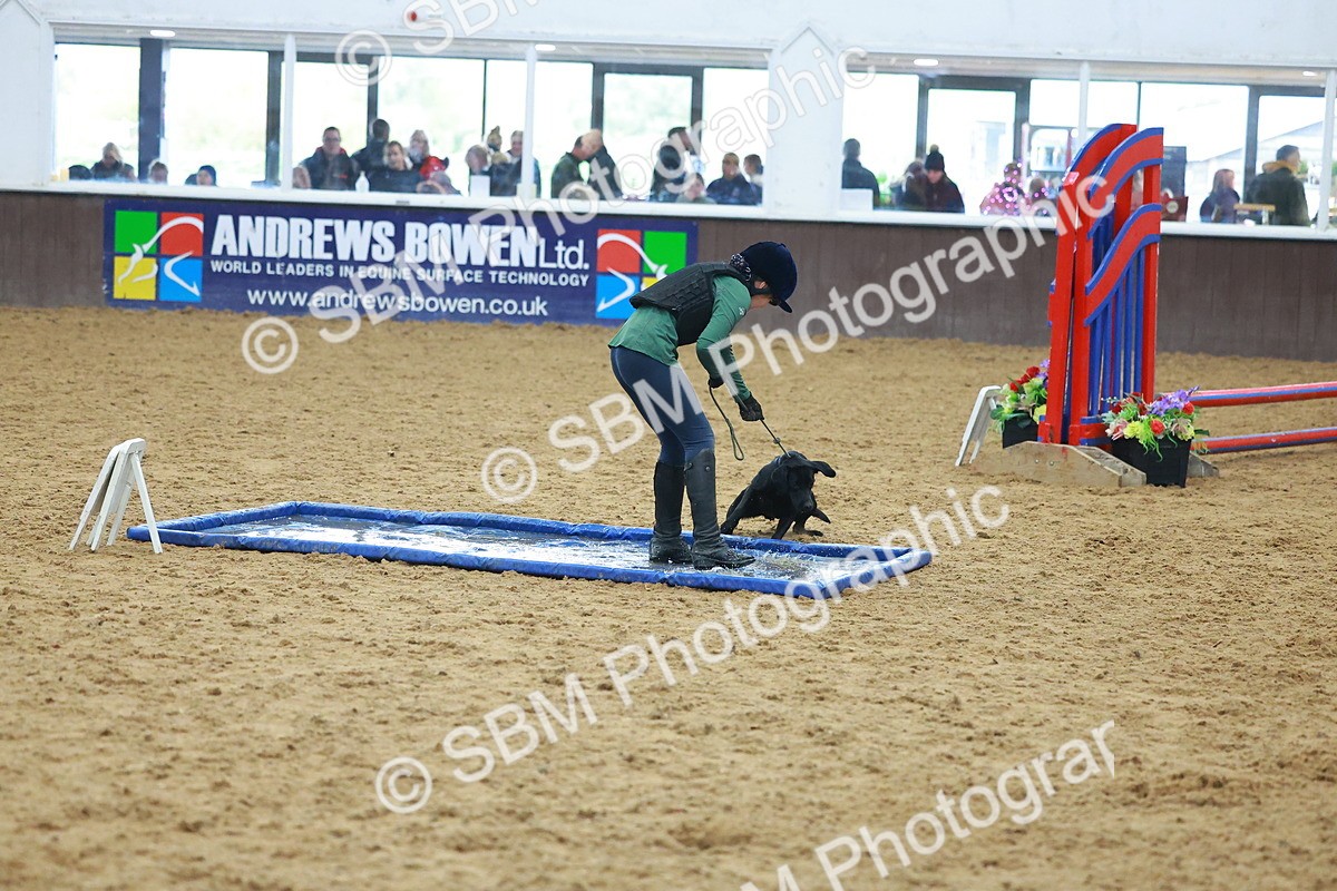 SBM_002415 - Class 3 - Horse & Hound (60cm)