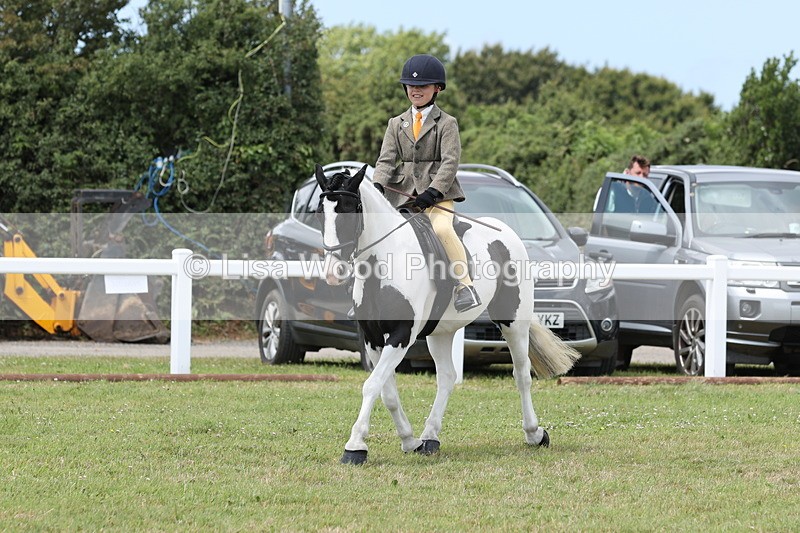 JPP_1955 - Class 18: Tiny Tots Working Hunter Pony