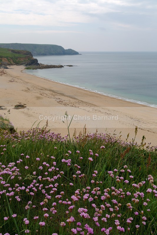  - American Poldark Tour May 29th 2018