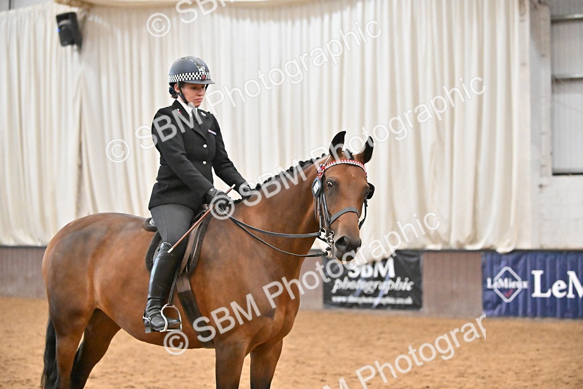 SBM_002367 - Class 22 - BSHA Ridden Hack & Riding Horse