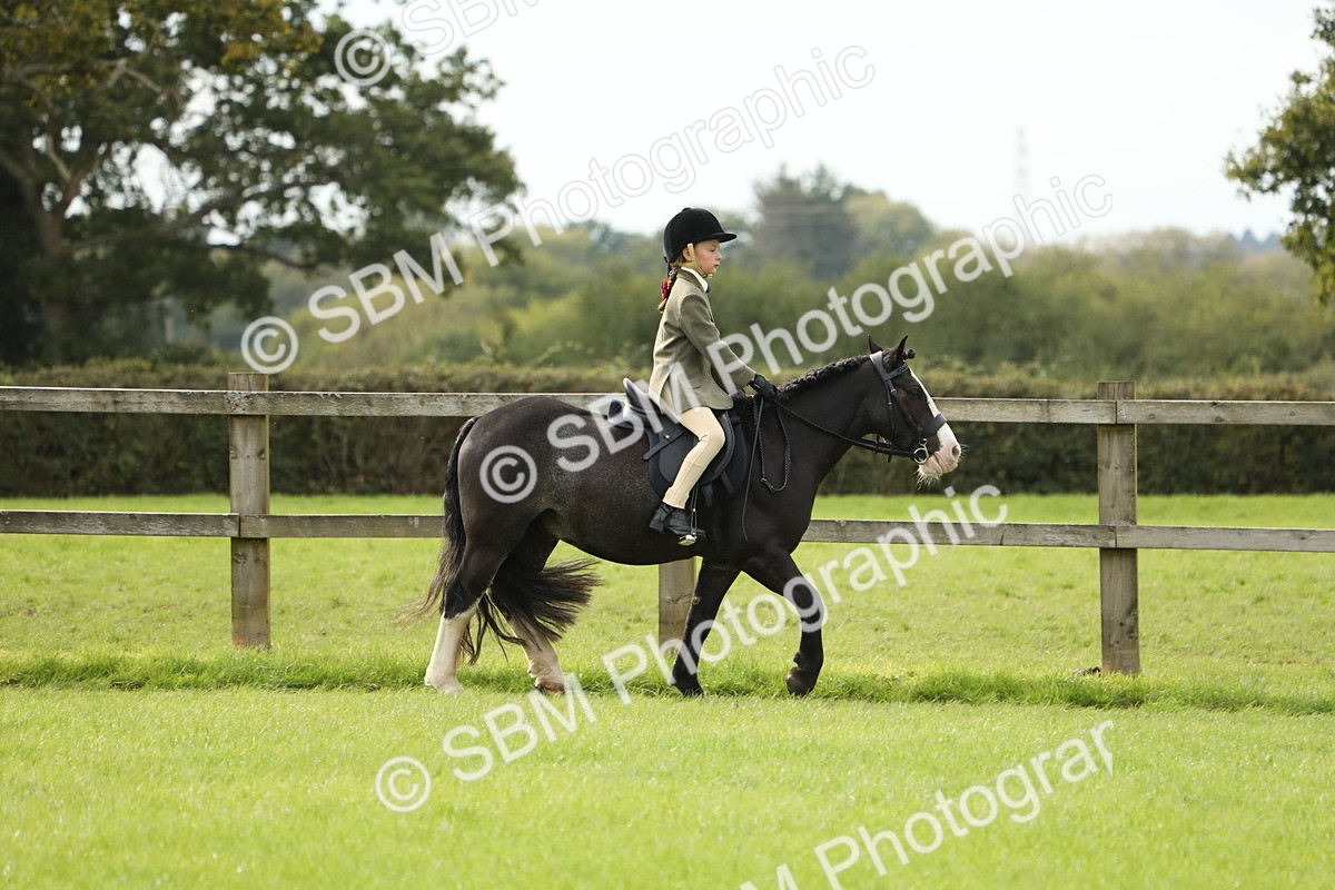 SBM_71488 - S41 - Ridden Equitation (Best Rider)
