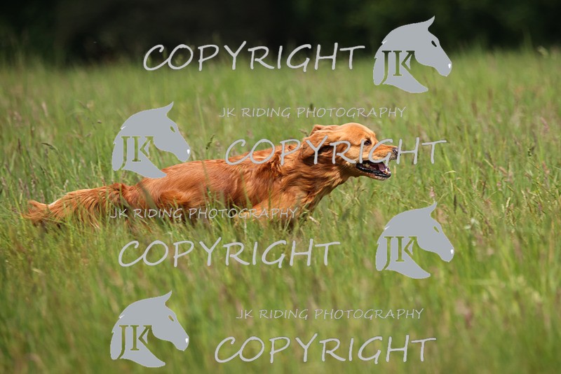 2R6A8266 - 5 Chris