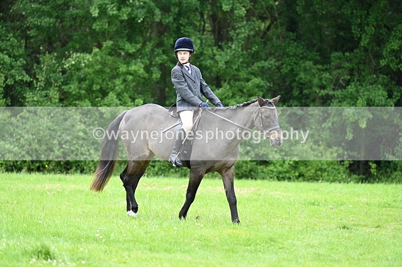 WJ7_4486 - Class 14B Prettiest Mare