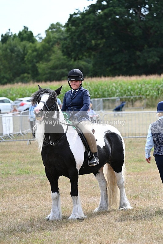 WJ7_5572 - Class 12 Ridden Cob