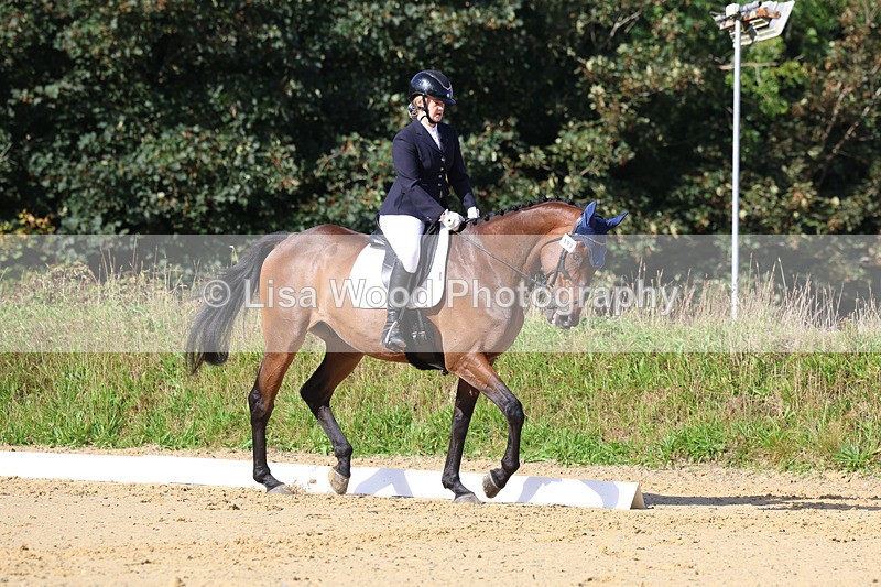 3E7A2531 - Class 1: Intro 4 2024 section A