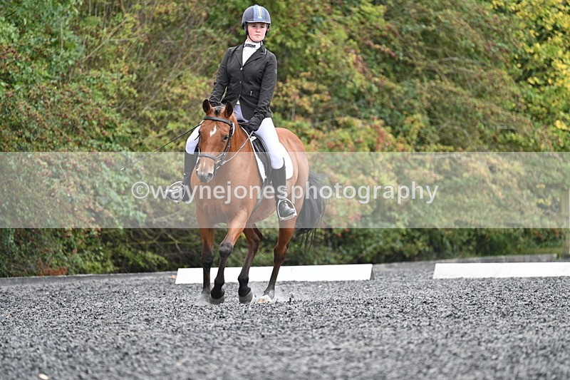 WJ7_3573 - Time 11:04 to 11:38