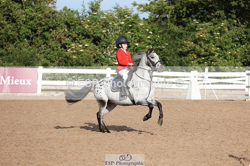 240629A-080100-02363 - Cls 16 British Novice and 80cm Open