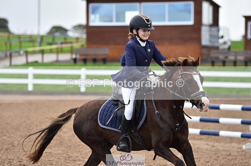 231029A-110416-02539 - Pony British Novice & 80cm Open