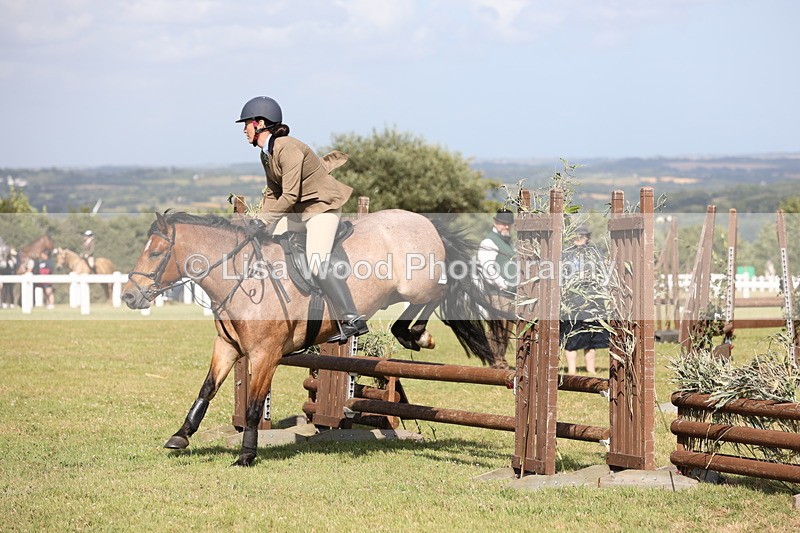 JPP_2652 - Class 20: Working Hunter 70cm