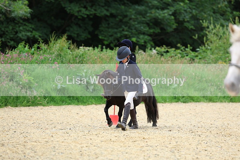 3E7A9509 - Walk trot run