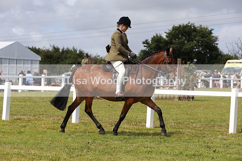 1X9A3974 - Class 32: Show Hunter Pony 153cm and under