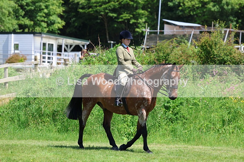 3E7A8176 - Class 13: Ridden Hunter