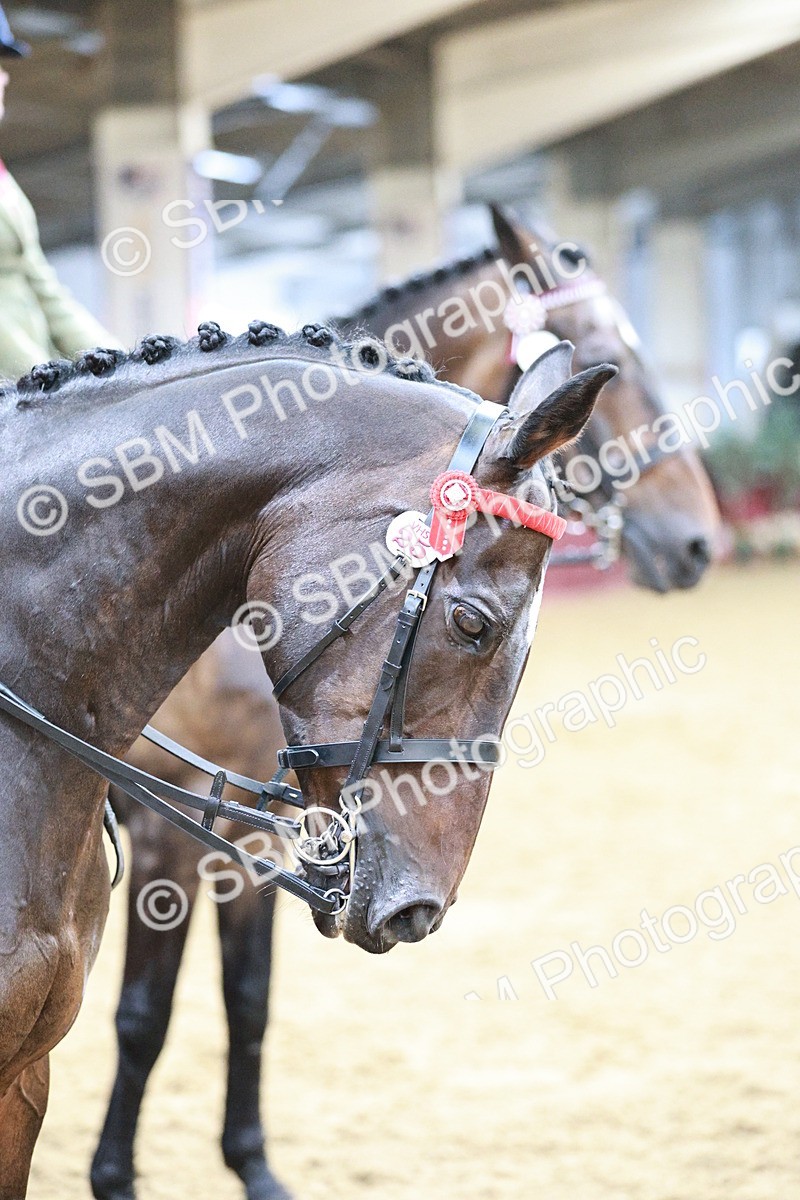 SBM_07200 - Class 10R - Regional Ridden Diamond