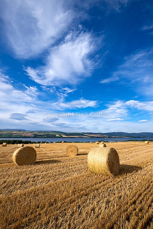 Hay bales near Culbokie, Black Isle, Highland - Portrait format