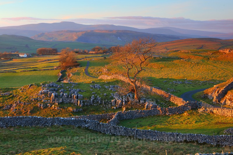 Whinskill Stones,near Settle. - The Pennines and Cumbria