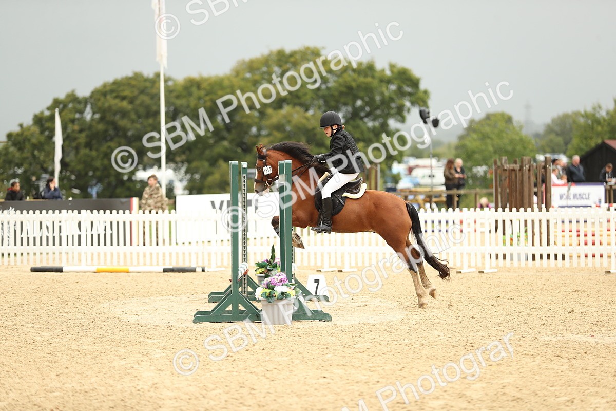 SBM_34254 - J60 Clear Round 50cm