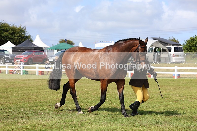 3E7A9544 - Class 4: Rising Star M/H Hunter