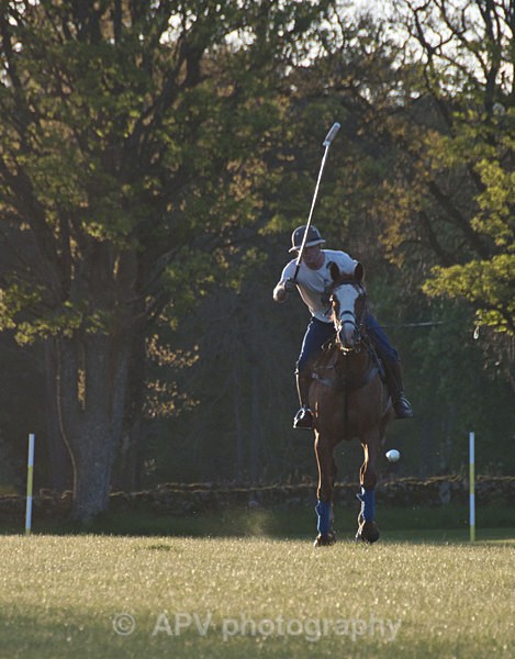 _DSC8291 - POLO Training